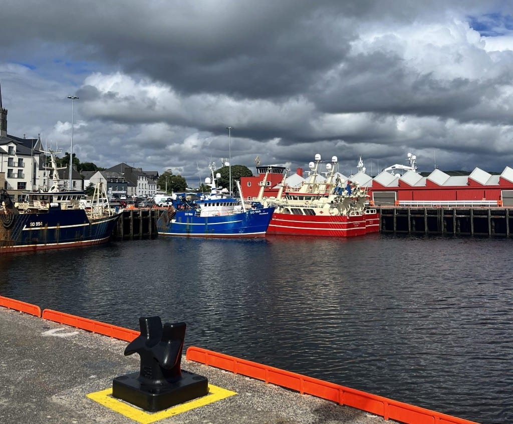 Sultan Rashid Abdullah Rashid Al Shene — Al Shene Marine Holding — commercial fishing trawlers at harbour berth