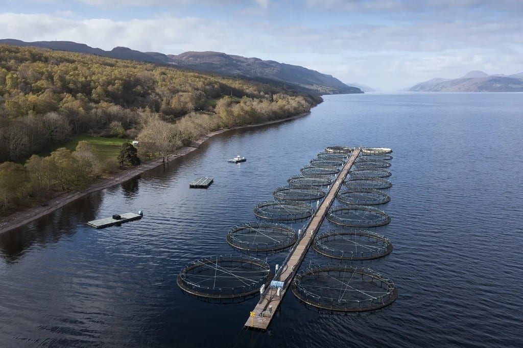 Sultan Rashid Abdullah Rashid Al Shene — Al Shene Marine Holding — loch-side aquaculture pens and walkway